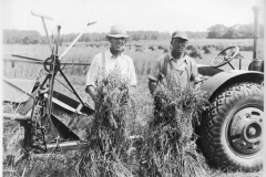 Boan-Farm138