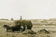 farming002