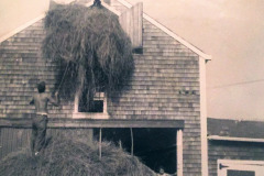 photo-1-filling-hayloft