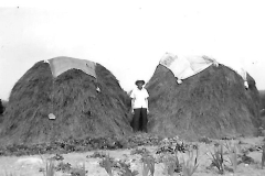 photo-5-Louis-and-haystacks-on-farm