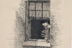 2005083021
