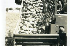 Harvesting-potatoes2
