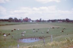 Slide-016