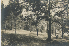 Southard_008