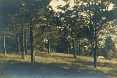 Southard_087