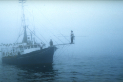 swordfishing-broad-bill-grant-moore