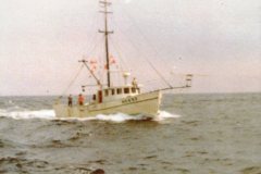 swordfishing004