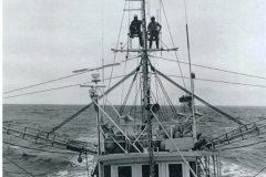 swordfishing006