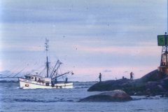 swordfishing022