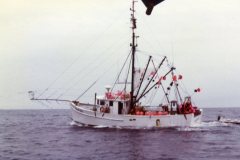 swordfishing036