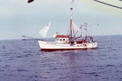 swordfishing037