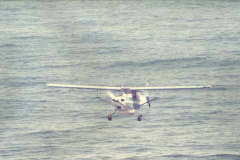 swordfishing040