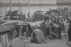 weighing-in-swordfish