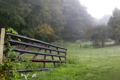 GateUntitled_Panorama-5