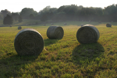 hay-bales