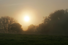 misty-morning_MG_3692