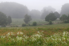 mistyviewUntitled_Panorama-6