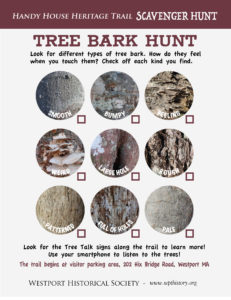 Tree Bark Scavenger Hunt