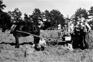 C. 1935 Louis Zembo sitting. In wagon…Jean, Walter, Stanley, Joseph Ziemba (Grandpa)