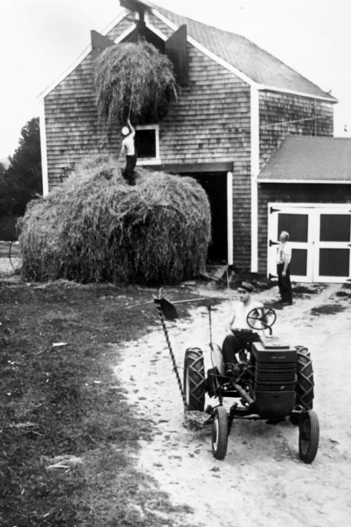 Pitching hay at 634 Gifford Road