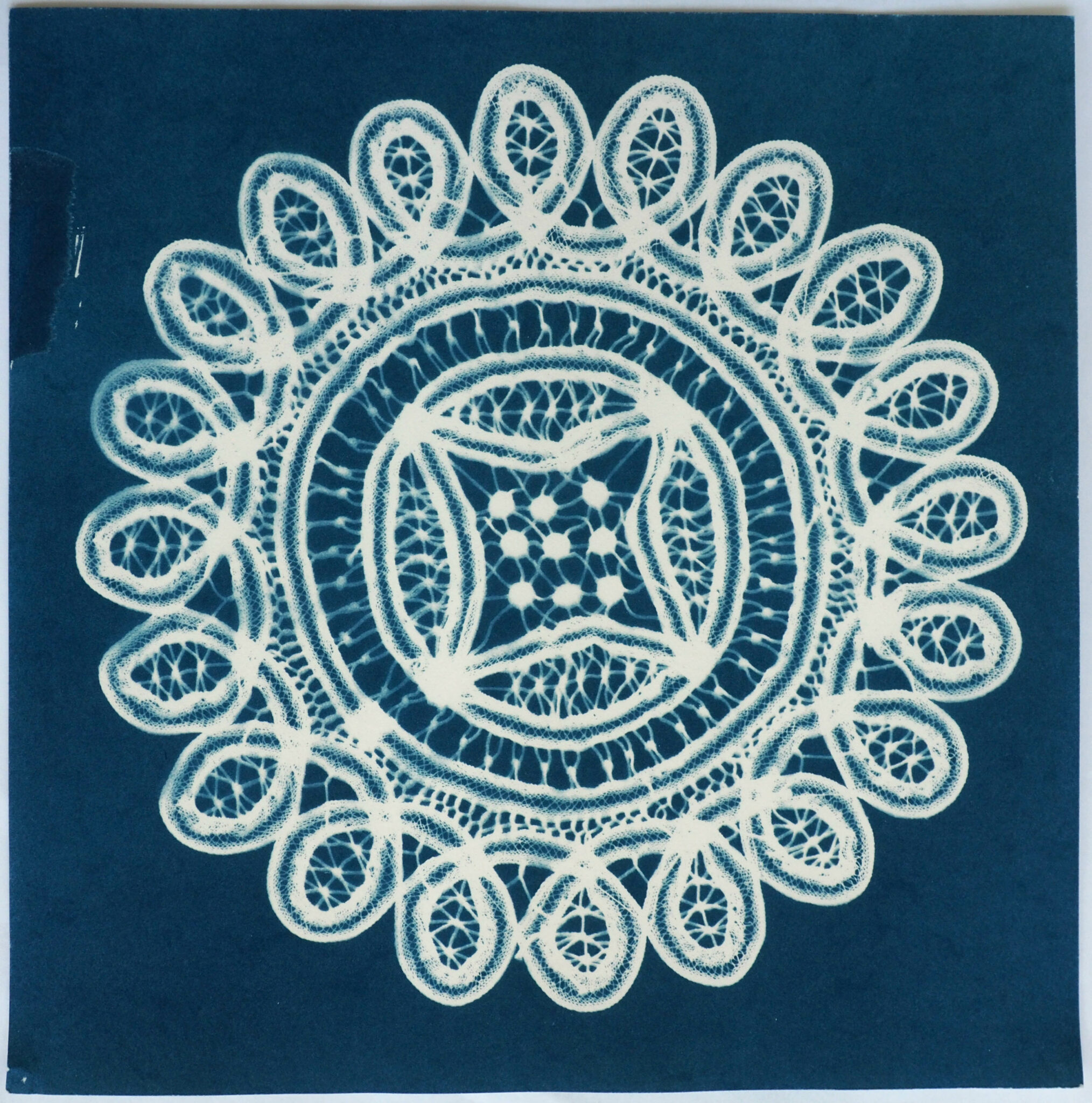 Handy House Artistinresidence Discover the lost art of cyanotypes